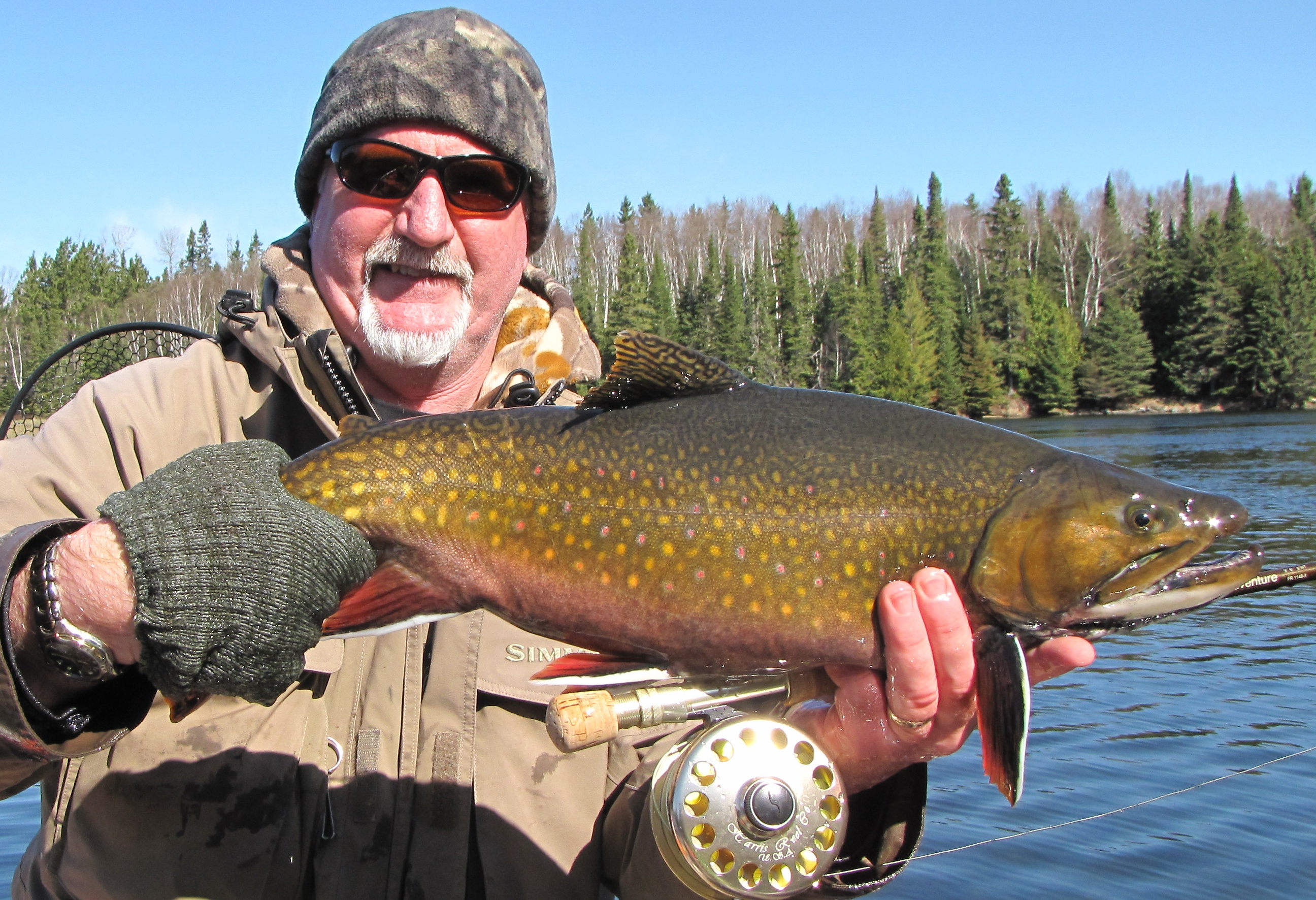 World Class Speckle Trout Fishing in Algonquin Park | Northern